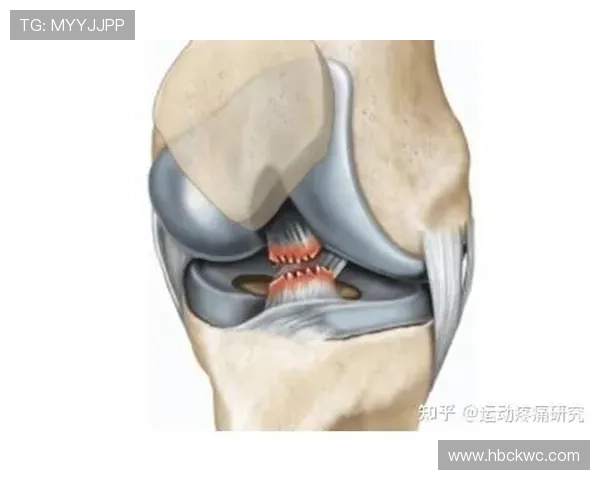 一次讲清！什么是篮球比赛中断规则及其核心判定标准